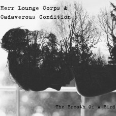 HERR LOUNGE CORPS & CADAVEROUS CONDITION - The Breath of a Bird LP HERR LOUNGE CORPS & CADAVEROUS CONDITION - The Breath of a Bird LP